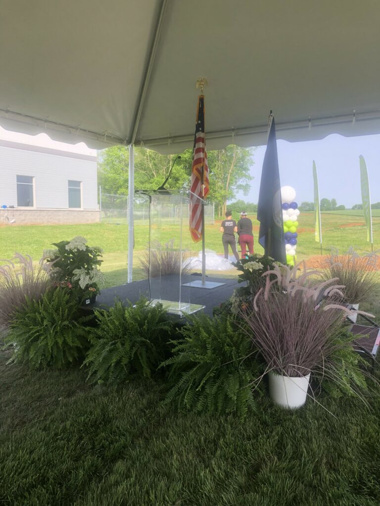 Corporate celebration tent setup